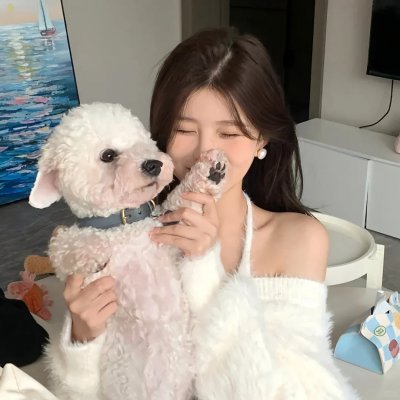 我的青春道馆
